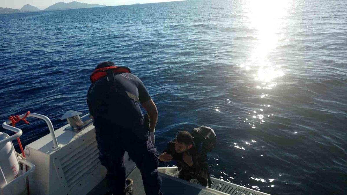 Bodrum\'da Düzensiz Göçmen Yakalandı