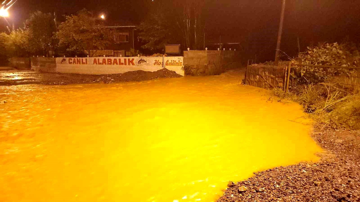 Zonguldak\'ta aşırı yağışlar etkisini sürdürüyor: Mezarlıklarda heyelan meydana geldi, 4 ev tahliye edildi