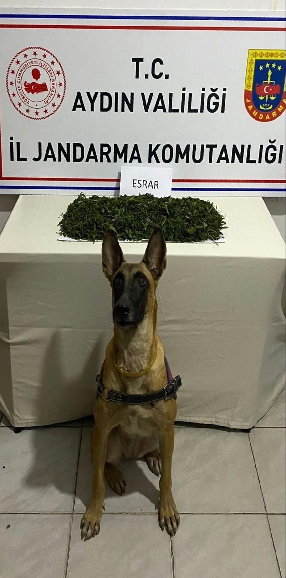 Aydın\'da Uyuşturucu Operasyonu