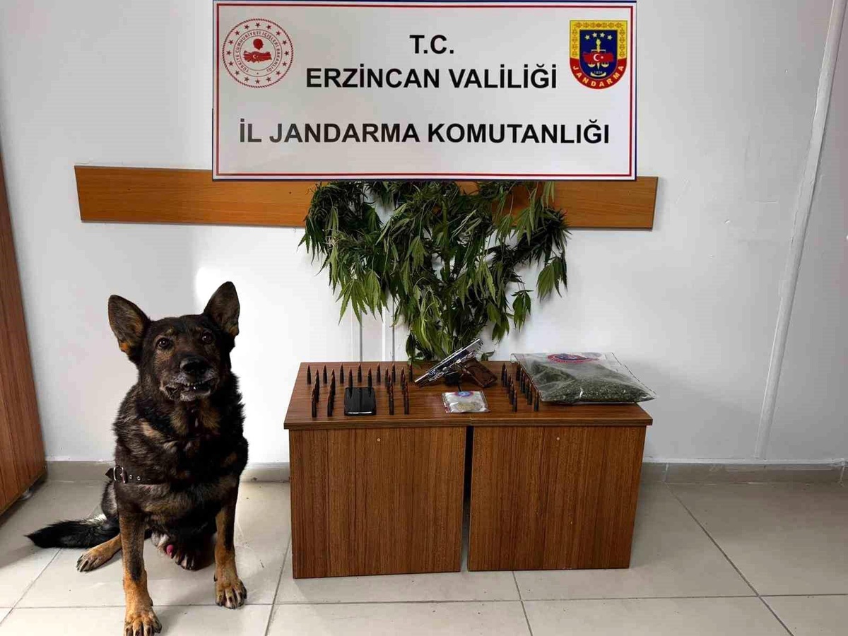 Erzincan Jandarma Eylül İstatistikleri Açıklandı