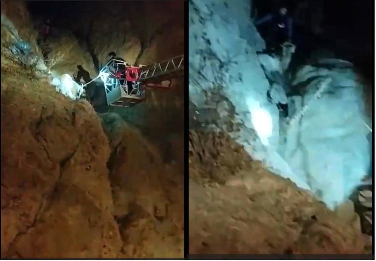 Hakkari\'de Mahsur Kalan Keçi İtfaiye Ekipleri Tarafından Kurtarıldı