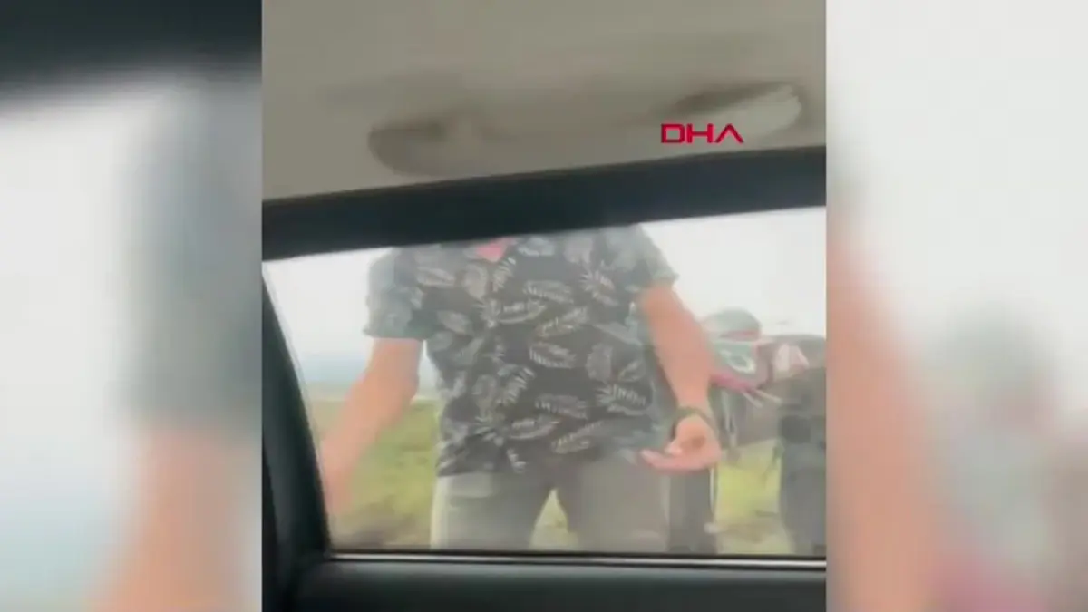 Kayseri\'de Yılkı Atları Tartışması