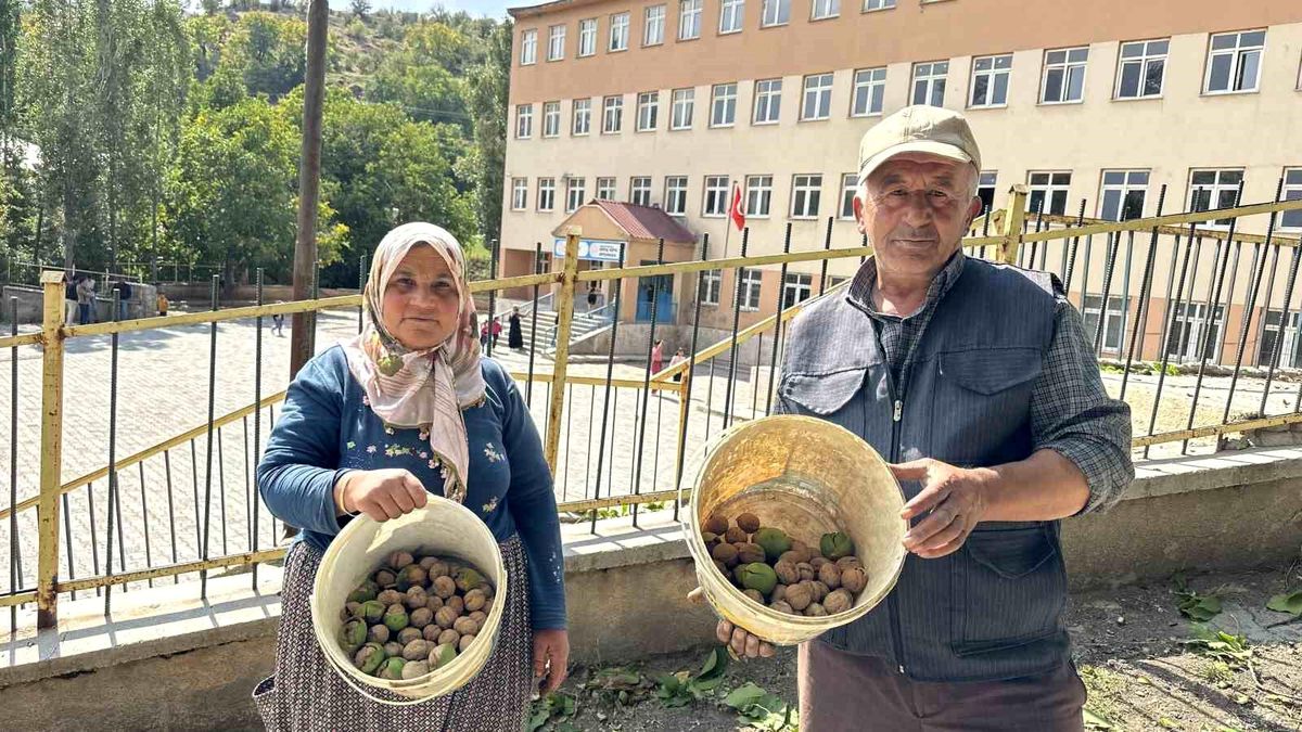 Cevizler Öğrencilere İkram Ediliyor