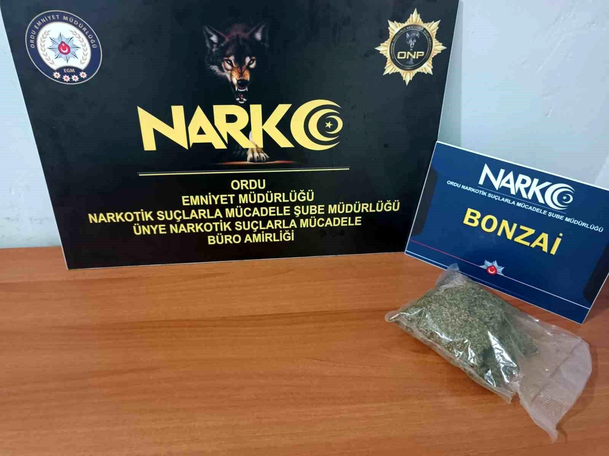 Ordu\'da Uyuşturucu Operasyonu: 2 Tutuklama