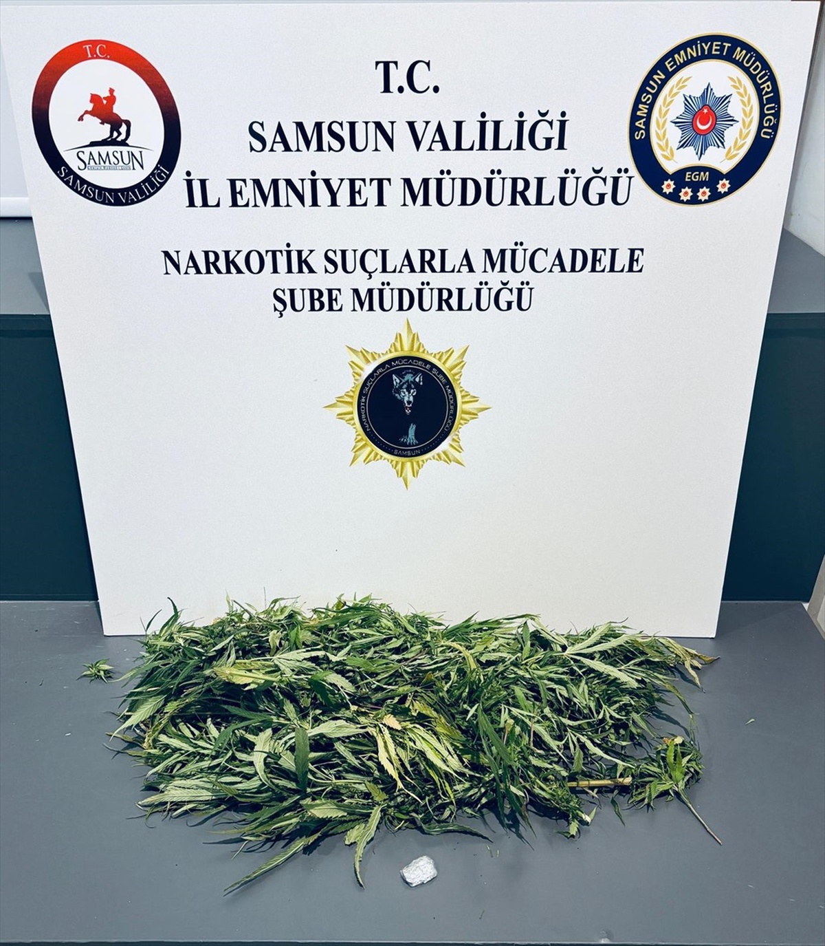 Samsun\'da Uyuşturucu Operasyonu