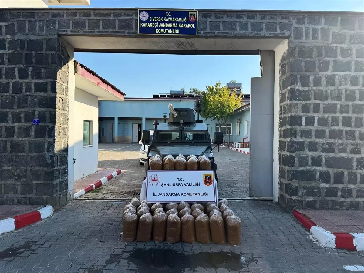 Siverek\'te Bandrolsüz 240 Kilogram Kaçak Tütün Ele Geçirildi