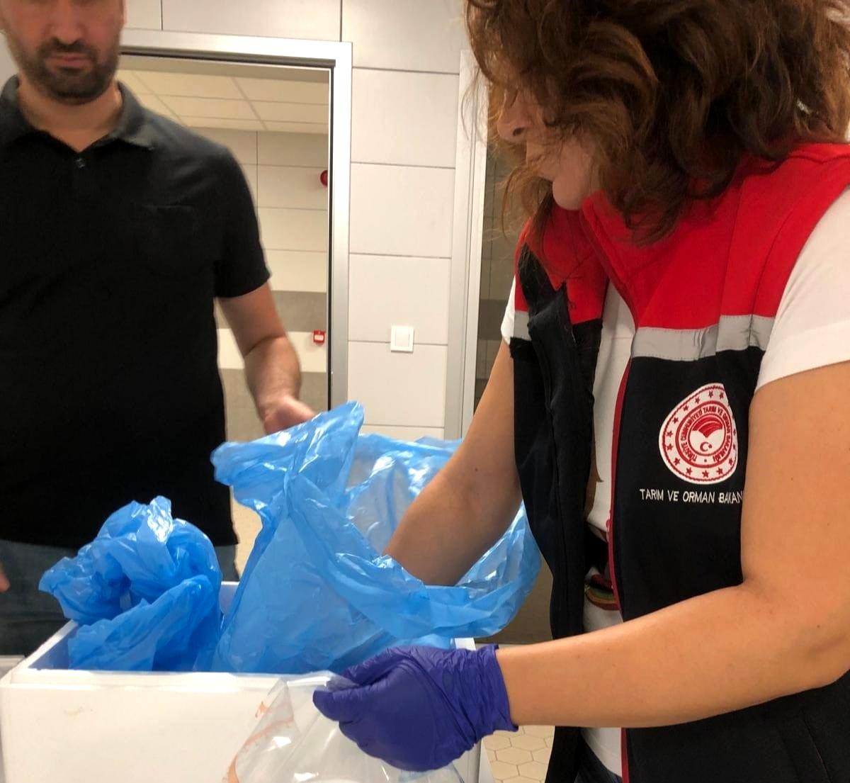 Söke\'den 15 Ülkeye 3.750 kg İhracat