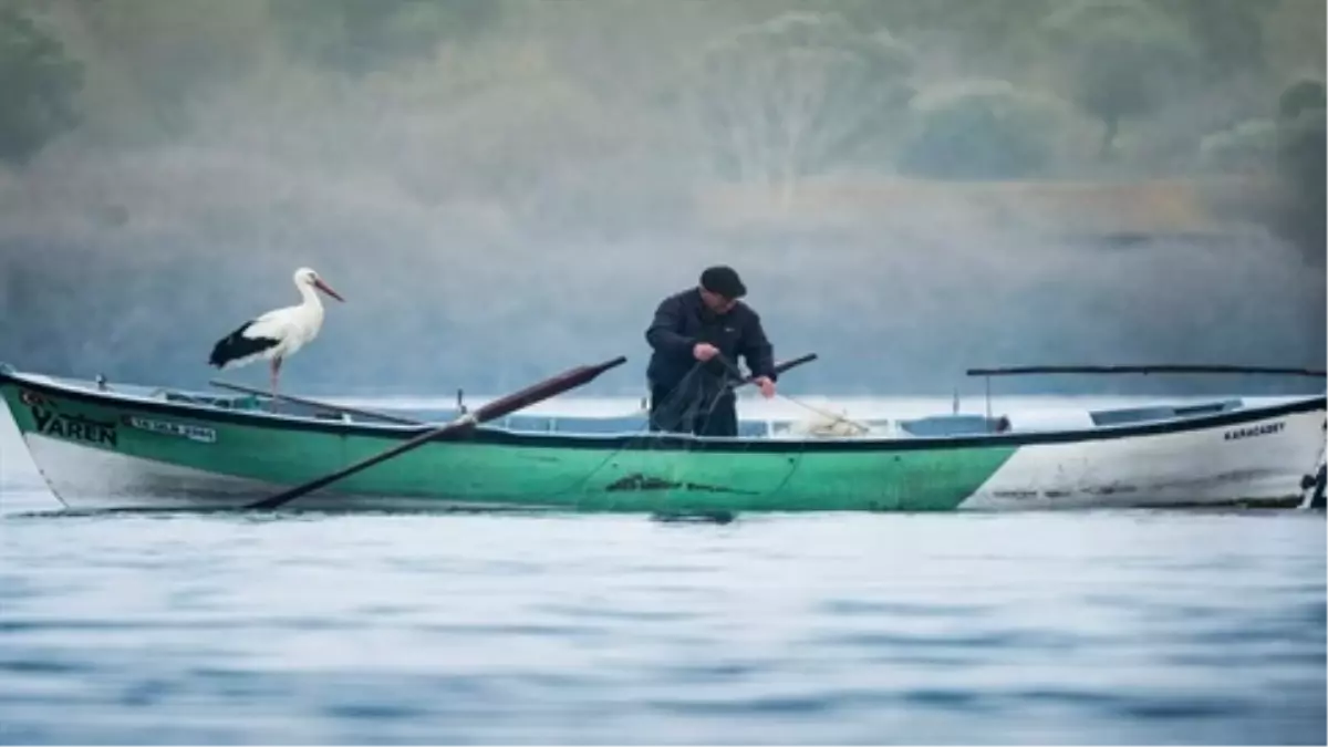 Yaren Leylek Filmi Vizyona Giriyor