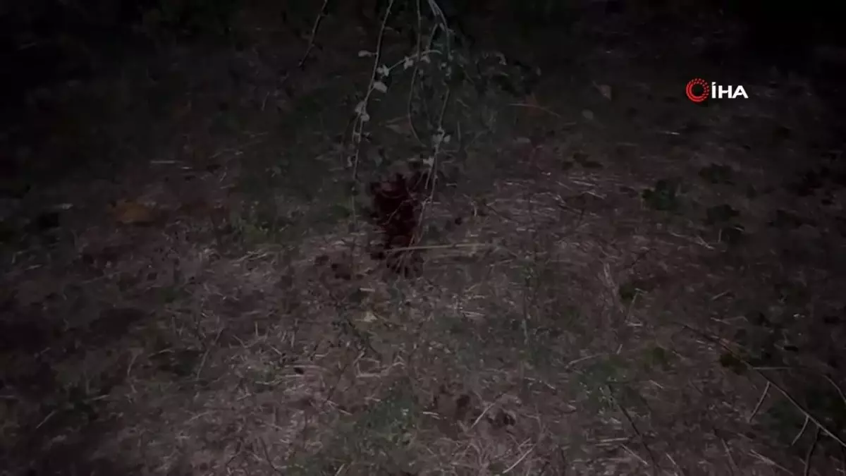 Bursa\'da Bıçaklı Kavga: 1 Genç Öldü