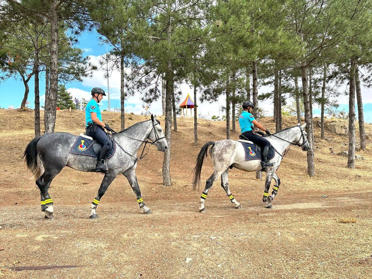 Jandarma Atlı Birliği\'nden Önleyici Devriye