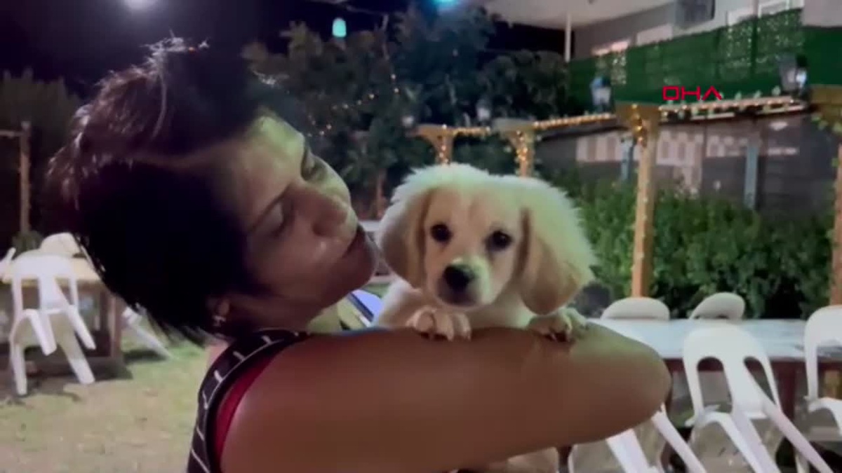 Çalınan Köpek Bulundu
