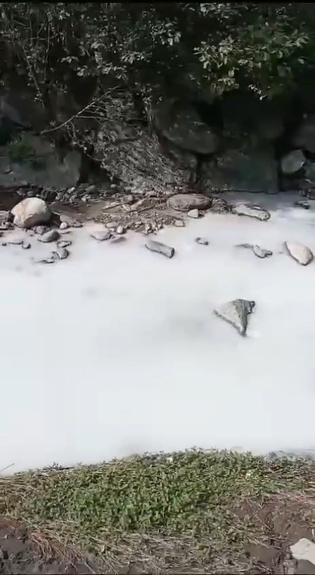 Rize\'de Kireç Dökene 464 Bin Lira Ceza