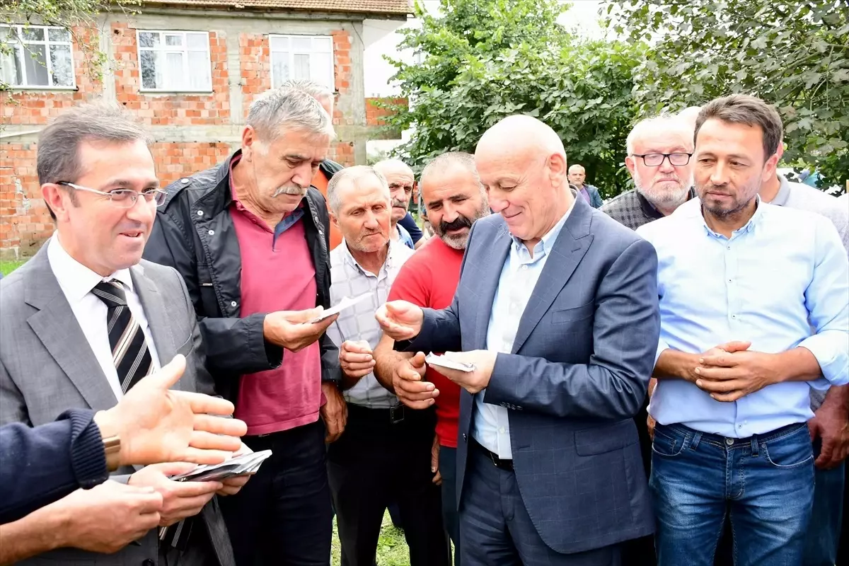 Kahverengi Kokarca ile Mücadele İçin Tuzak Dağıtımı Başladı