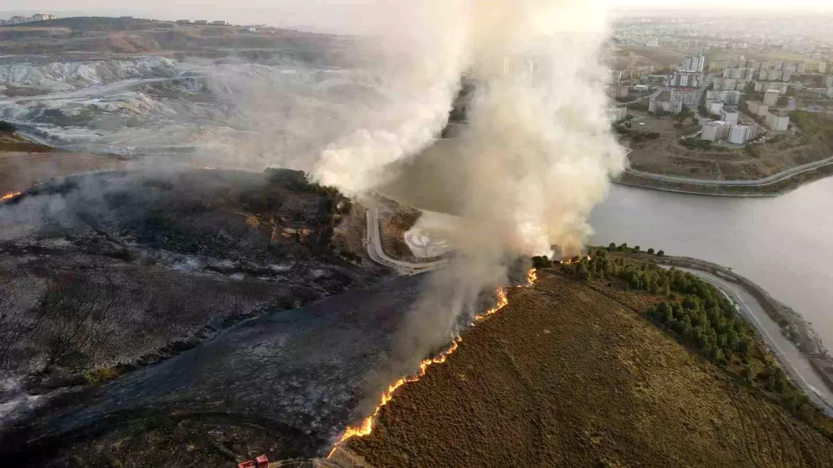 Balıkesir\'de Makilik Alanda Yangın Çıktı