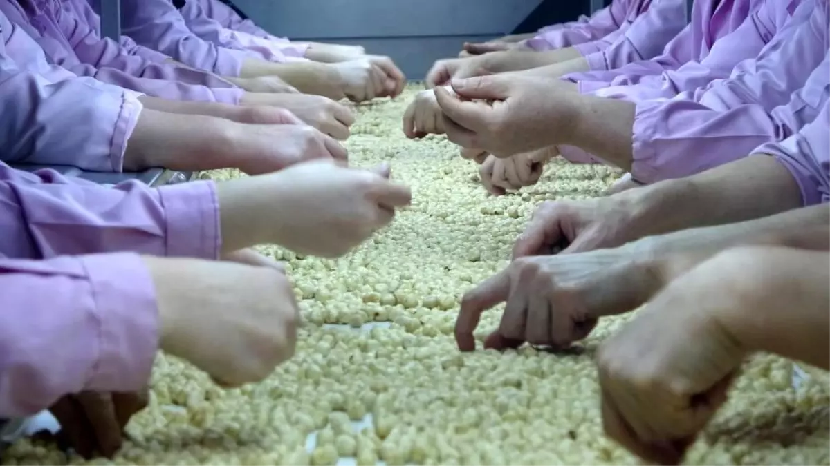 Düzce\'den AB Ülkelerine 9 Bin Ton Fındık İhracatı