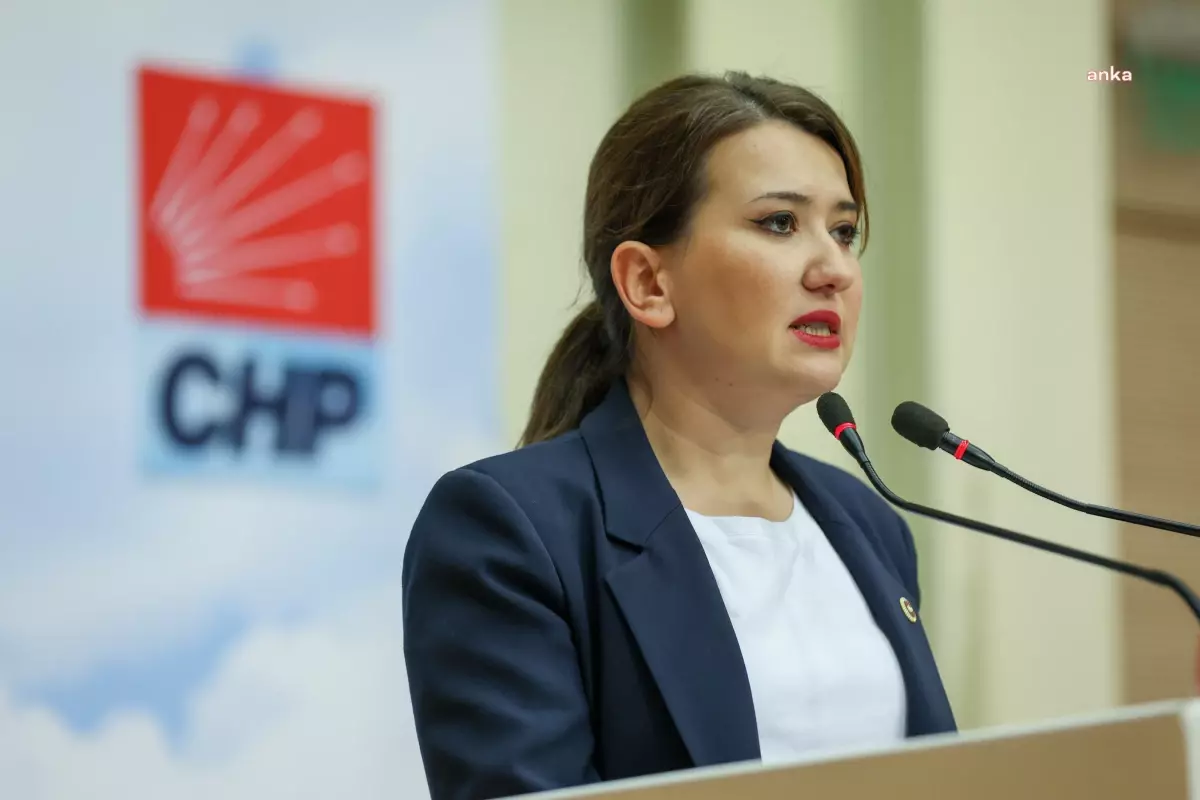 CHP\'den Gülşah Durbay\'a Destek: Ahlaksız İddialara Tepki