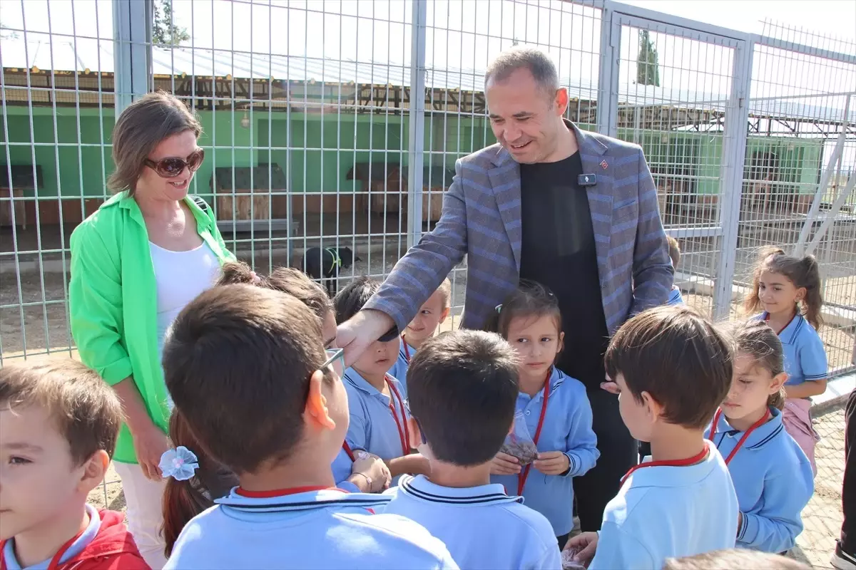 Kırklareli\'nde Hayvanseverlere Kulübe Hediye