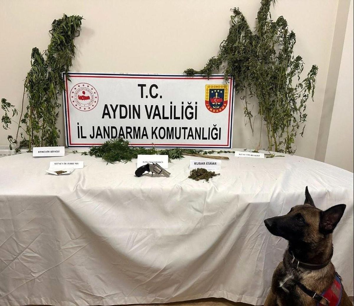 Aydın\'da Uyuşturucu Baskını: 1 Gözaltı