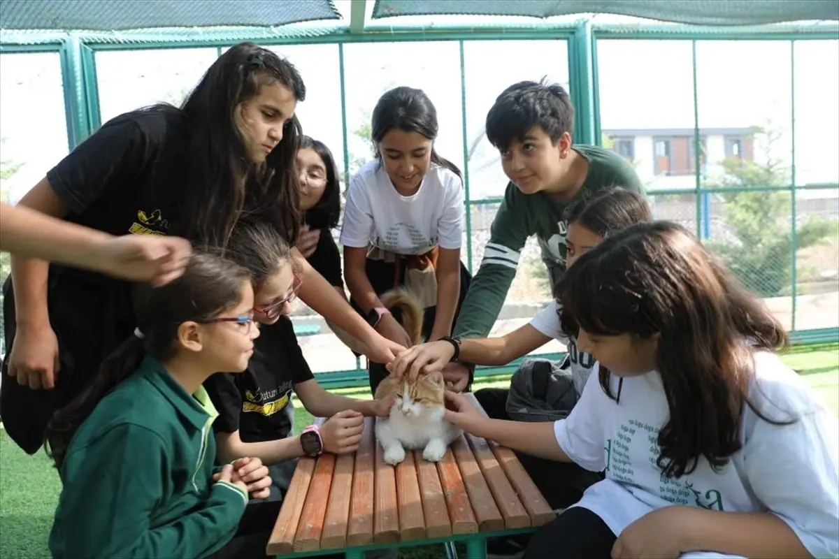 Kedi Kasabası\'na Ziyaretler Devam Ediyor