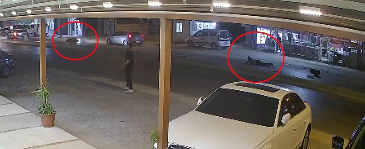 Rögar Kapağı Kazaya Neden Oldu