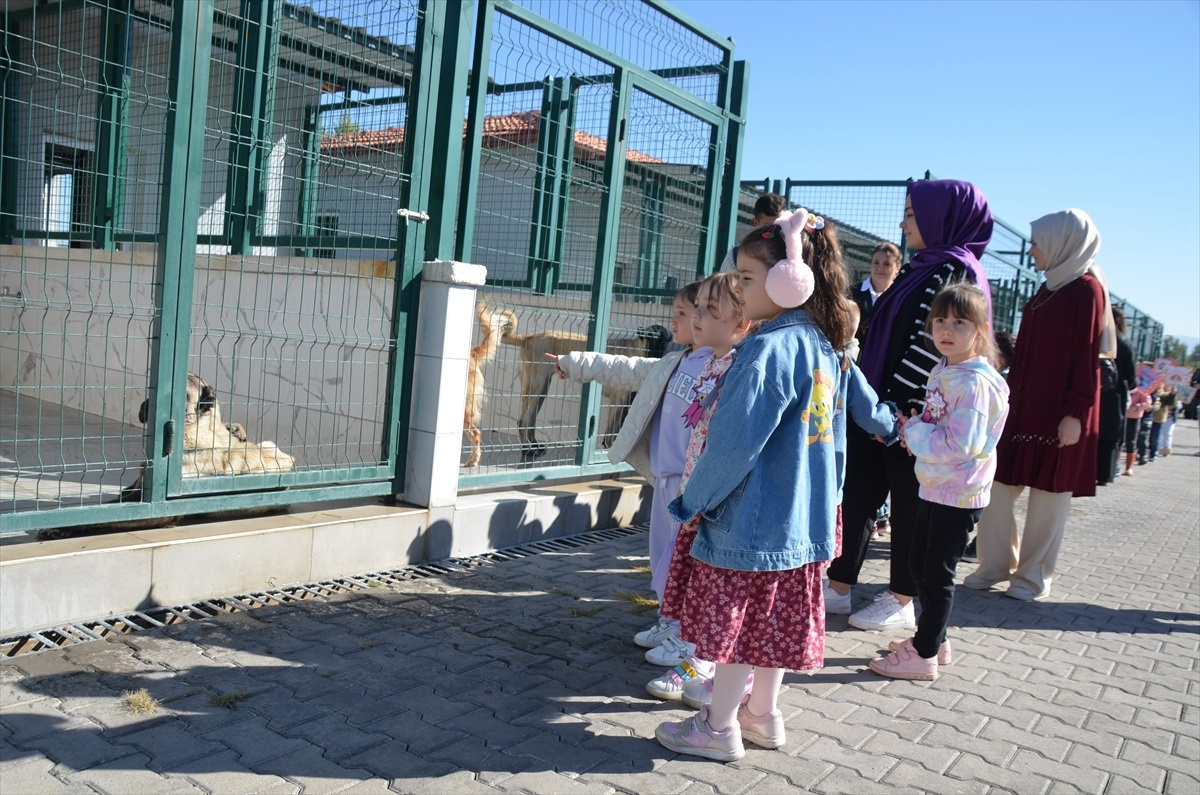 Öğrenciler Hayvanları Koruma Günü\'nde Ziyarette Bulundu