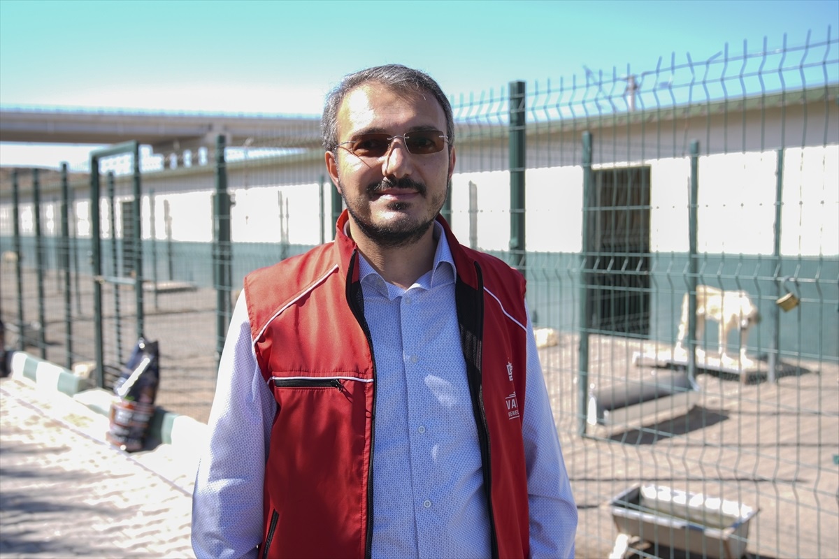 Hayvanları Koruma Günü\'nde Mama Desteği