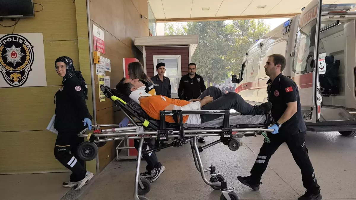 Ceviz Toplayan Amca ve Yeğeni Düştü