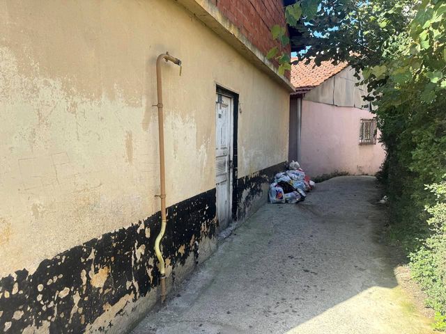 Domuz sandığı komşusunu tüfekle öldürdü Domuz sandığı komşusunu tüfekle öldürdü