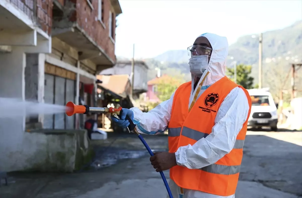 Kahverengi Kokarca ile Mücadele Başladı