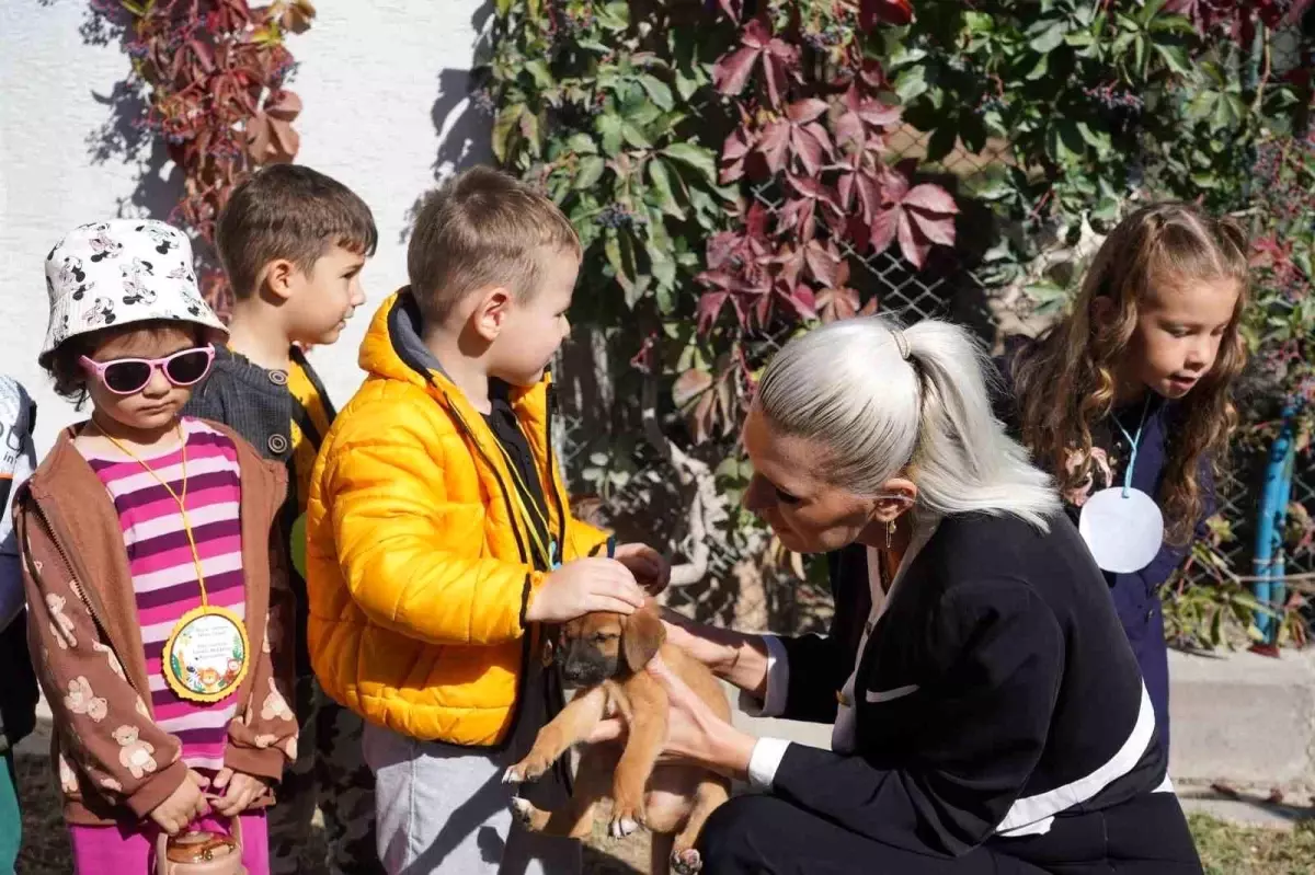 Miniklerden Hayvanlara Sevgi Dolu Ziyaret