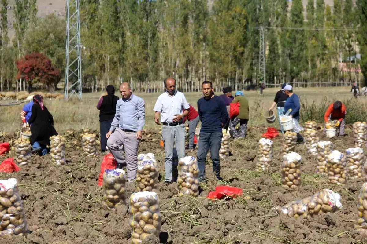 Sivaslı üretici patatesi perakende satıyor