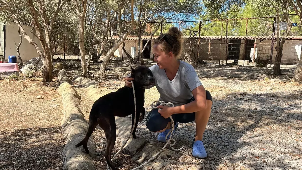 Bodrum’da Hayvansever İki Kadın