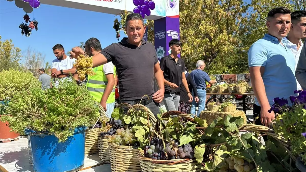 3. Bağ Bozumu ve Pekmez Festivali Aksaray\'da