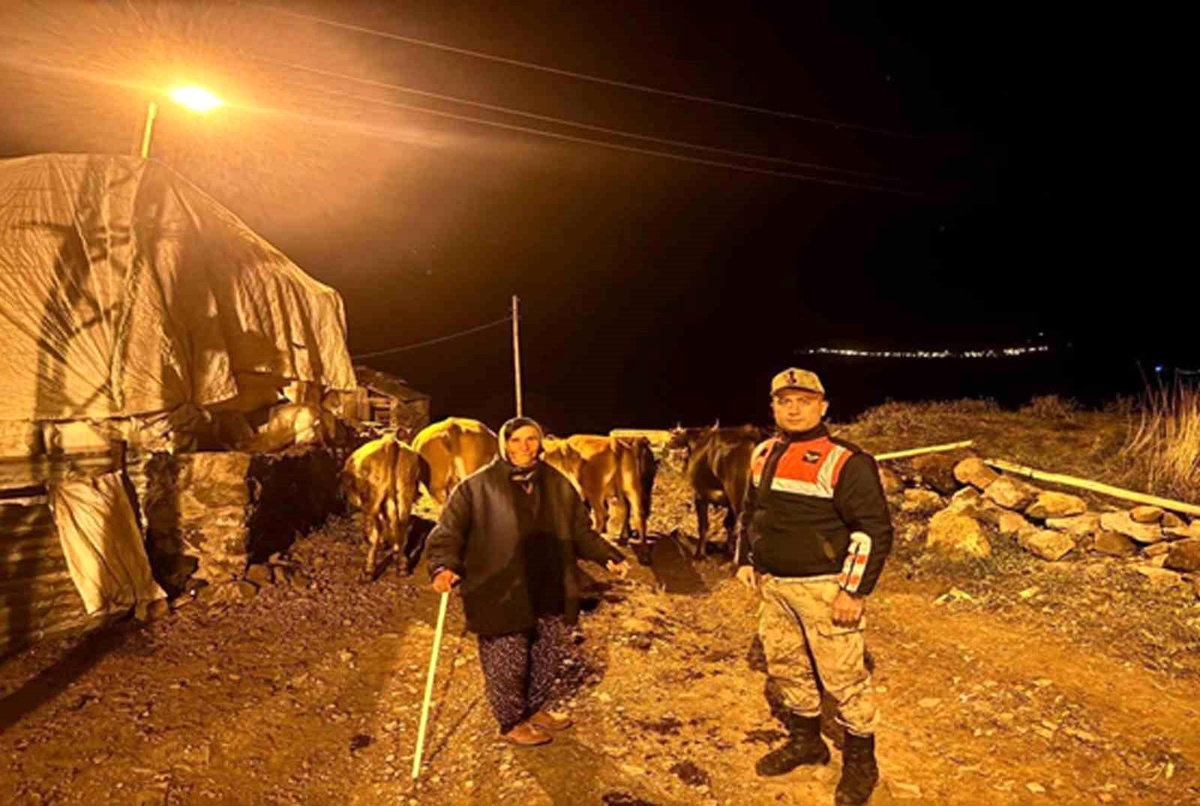 Ardahan\'da Kayıp 153 Hayvan Bulundu
