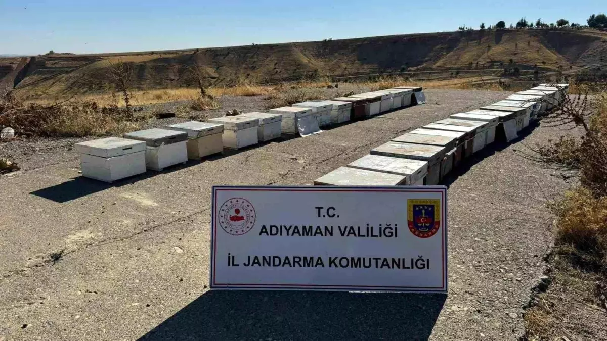 Adıyaman\'da Arı Kovanı Hırsızlığı Çözüldü