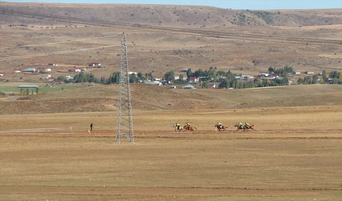 Karlıova\'da Geleneksel At Yarışları Düzenlendi