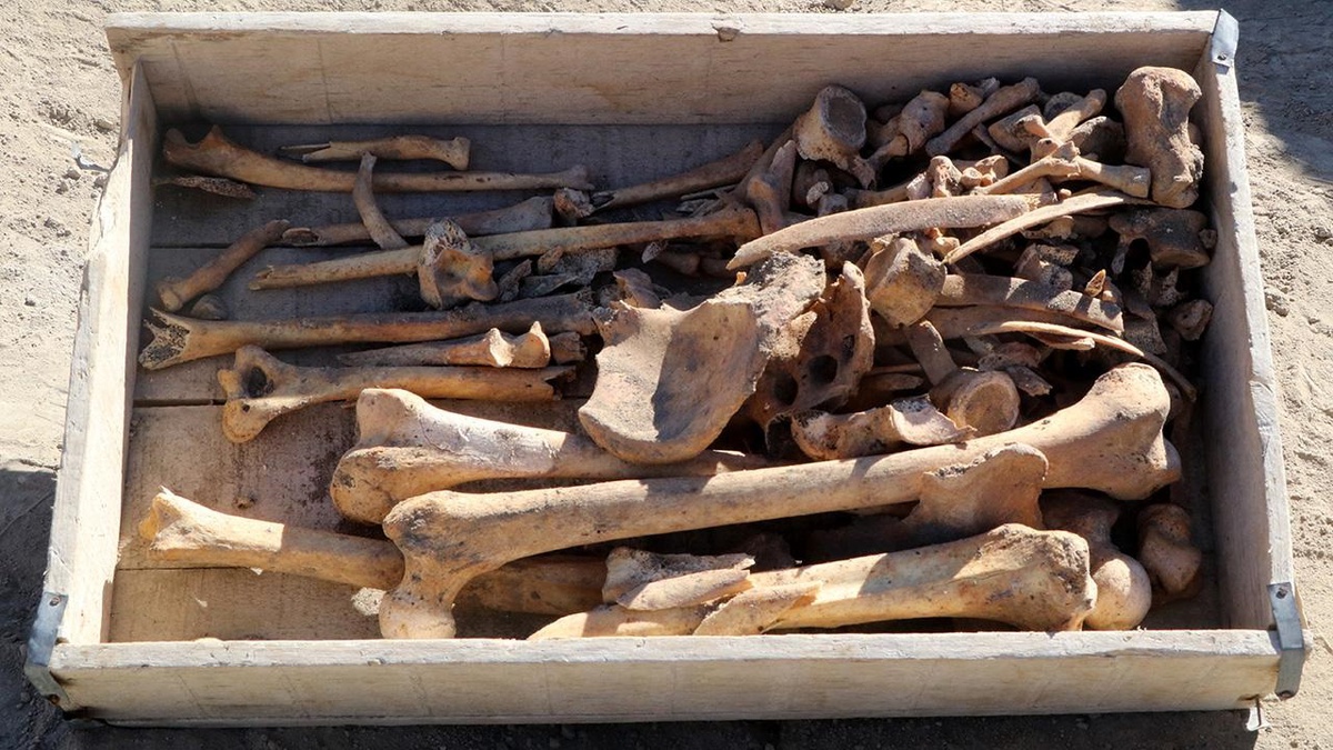 Hacılar Höyük\'te 5 bin yıllık iskelet bulundu