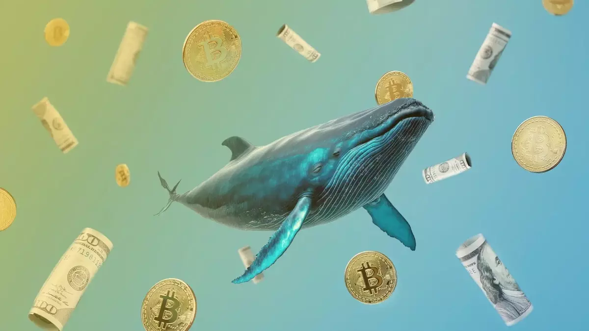 Dev Bitcoin balinasından Kraken\'e rekor transfer