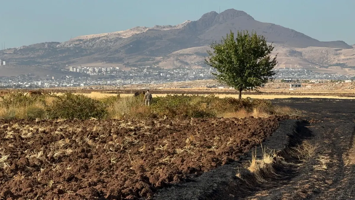 Ergani\'de Anız Yangını: 70 Dönüm Zarar Gördü