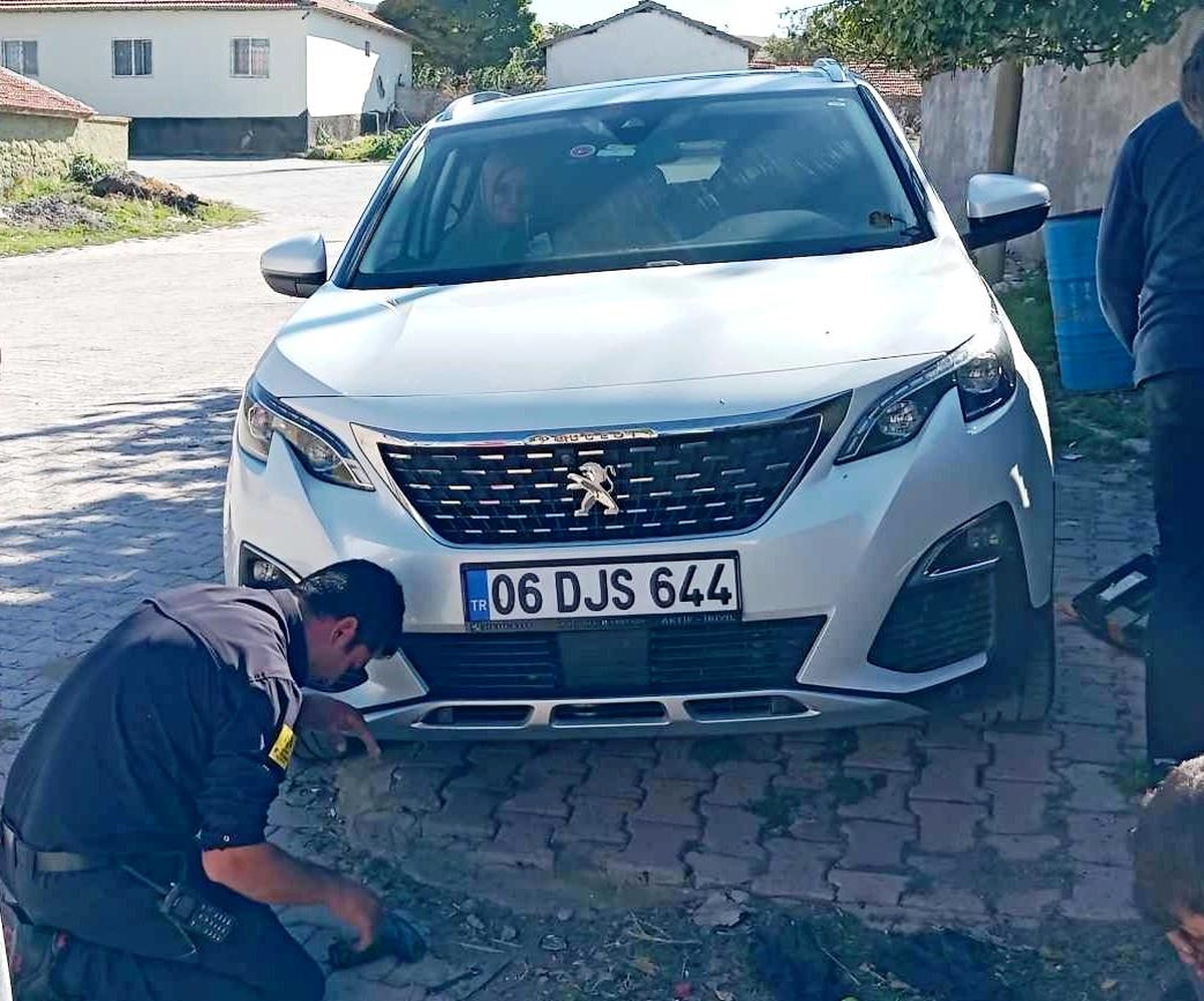 Kedinin Sıkıştığı Yerden Kurtuluşu