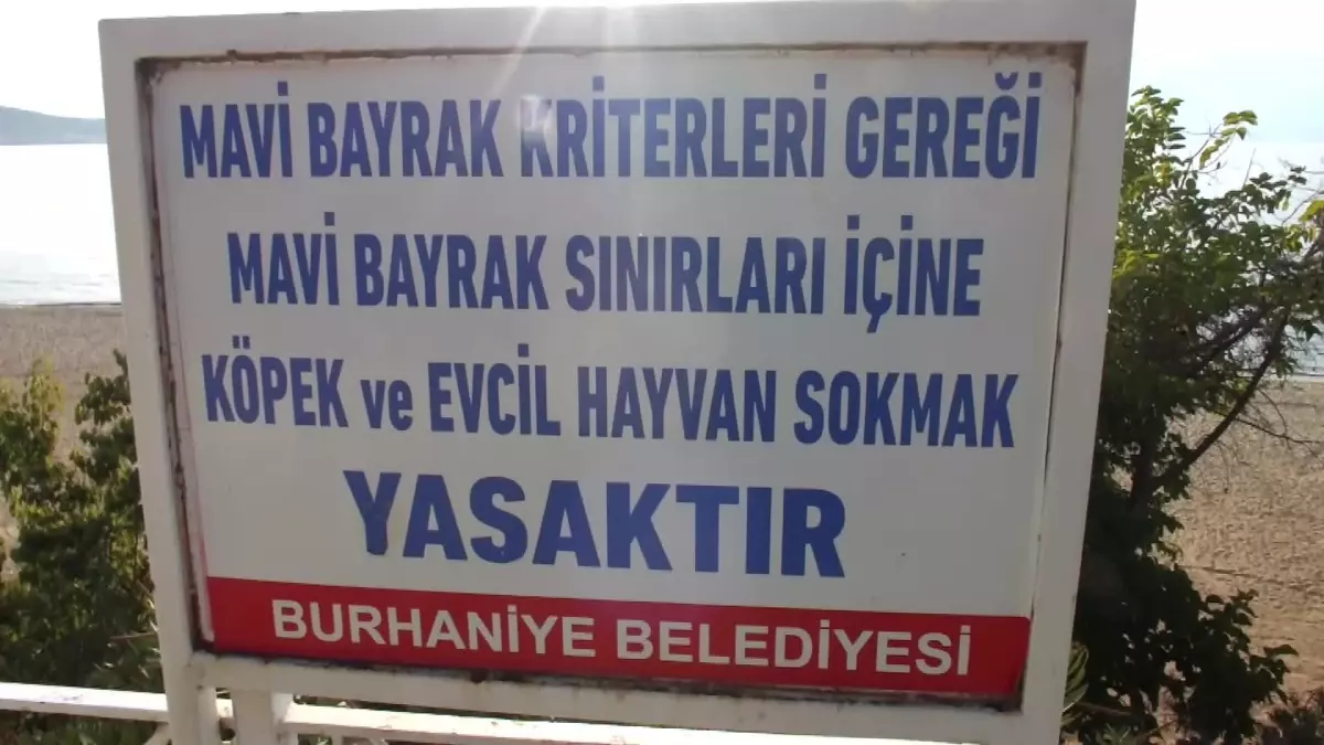 Ekimde Yaz Havası Balıkesir\'de