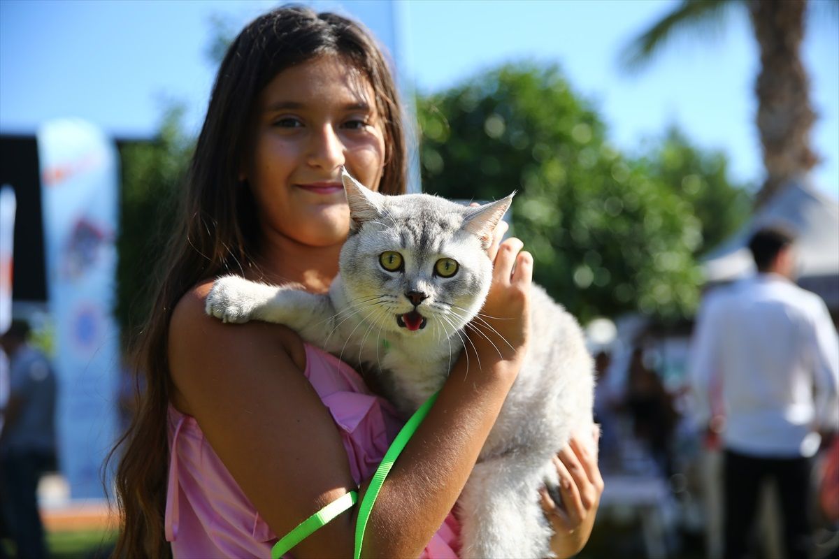 Mersin\'de 5. Patifest Düzenlendi