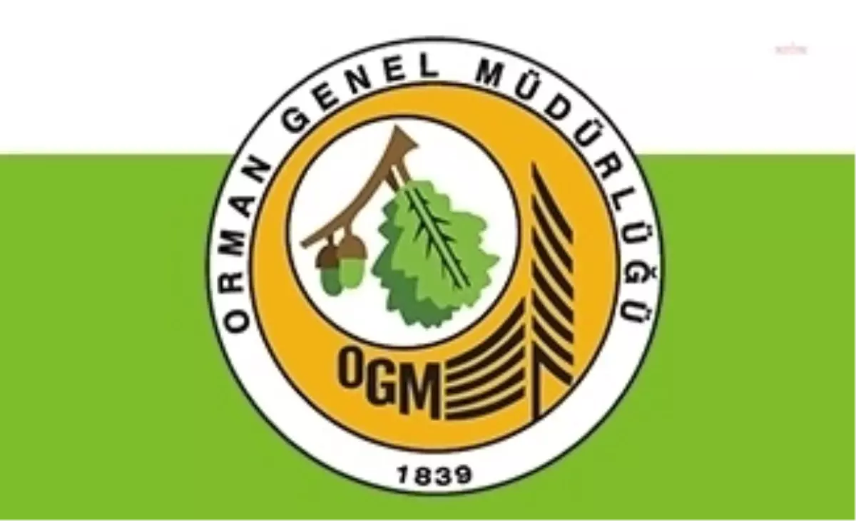 OGM\'den Bodrum Yangını Açıklaması