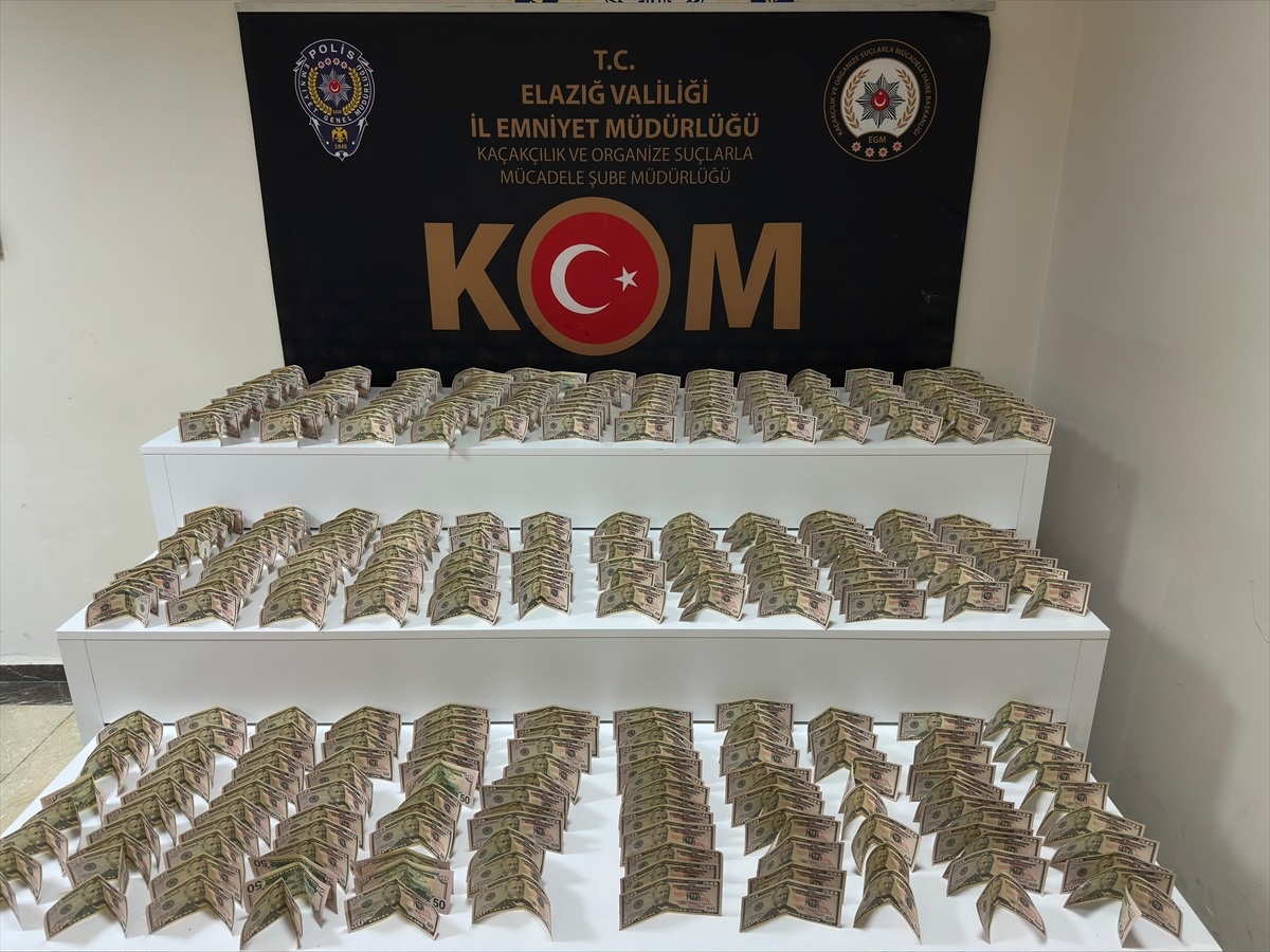 Elazığ\'da Sahte Dolar Operasyonu