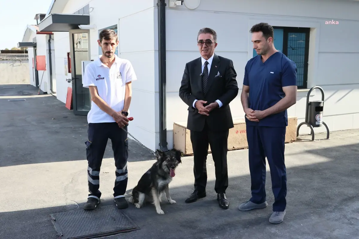 Başkan Mutlu, Hayvanları Koruma Günü\'nde Barınaktan Köpek Sahiplenerek Örnek Oldu