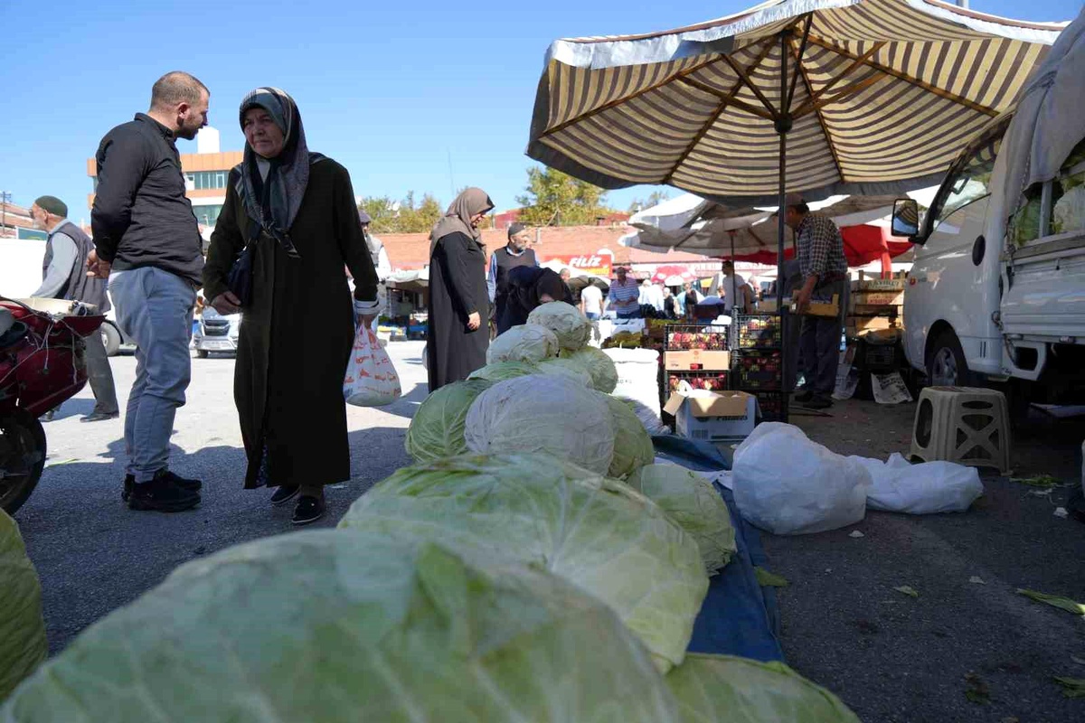 Erzincan\'da Kışın Vazgeçilmez Lahanaları