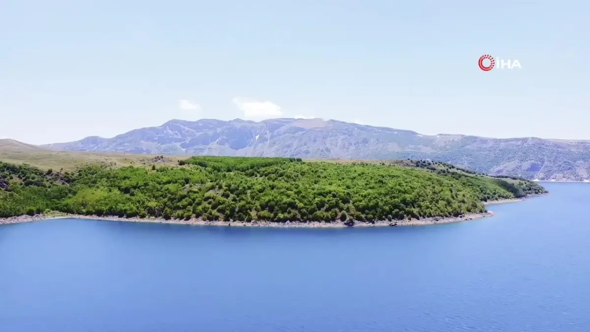 Nemrut\'ta Bozayılar Tehlikede