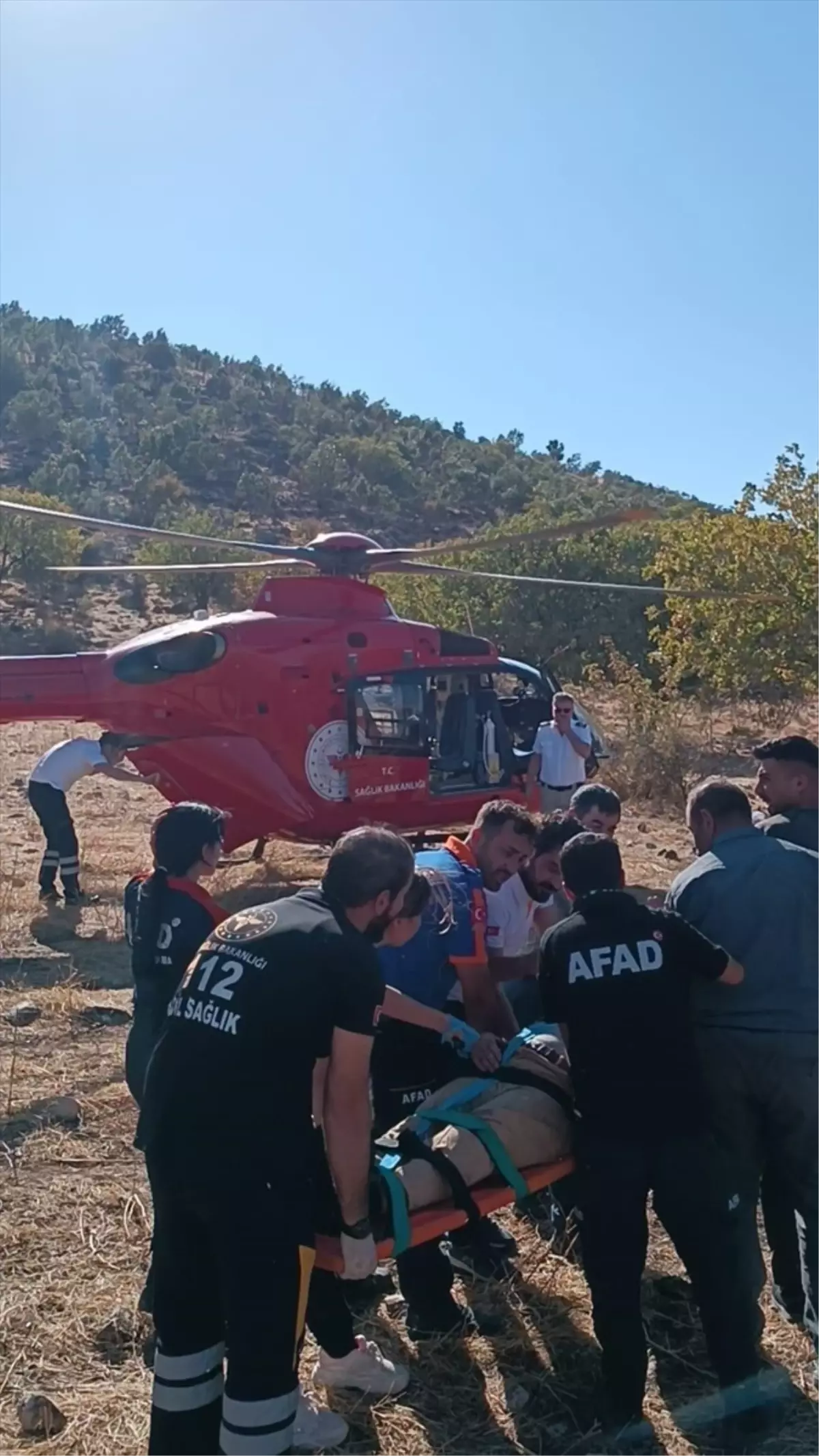 Ağaçtan Düşen Yaralıya Hava Ambulansı