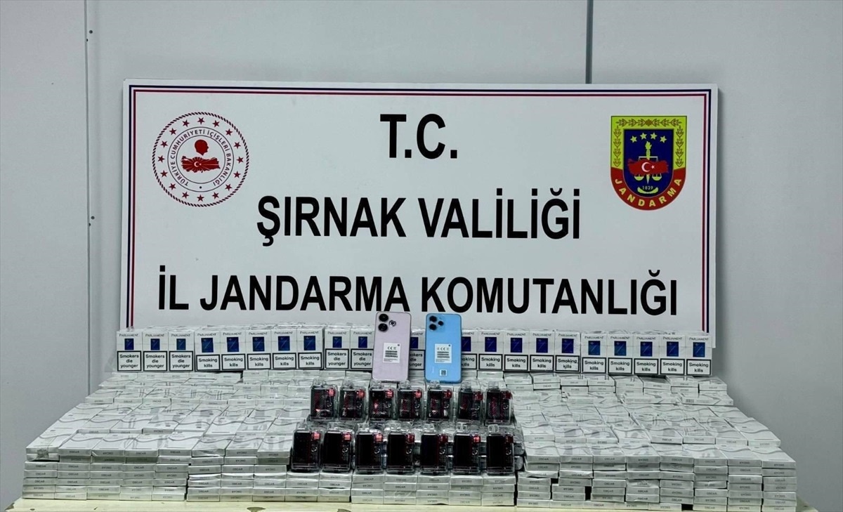 Şırnak\'ta 66 Kişi Uyuşturucu ve Kaçakçılığa Yakaladı