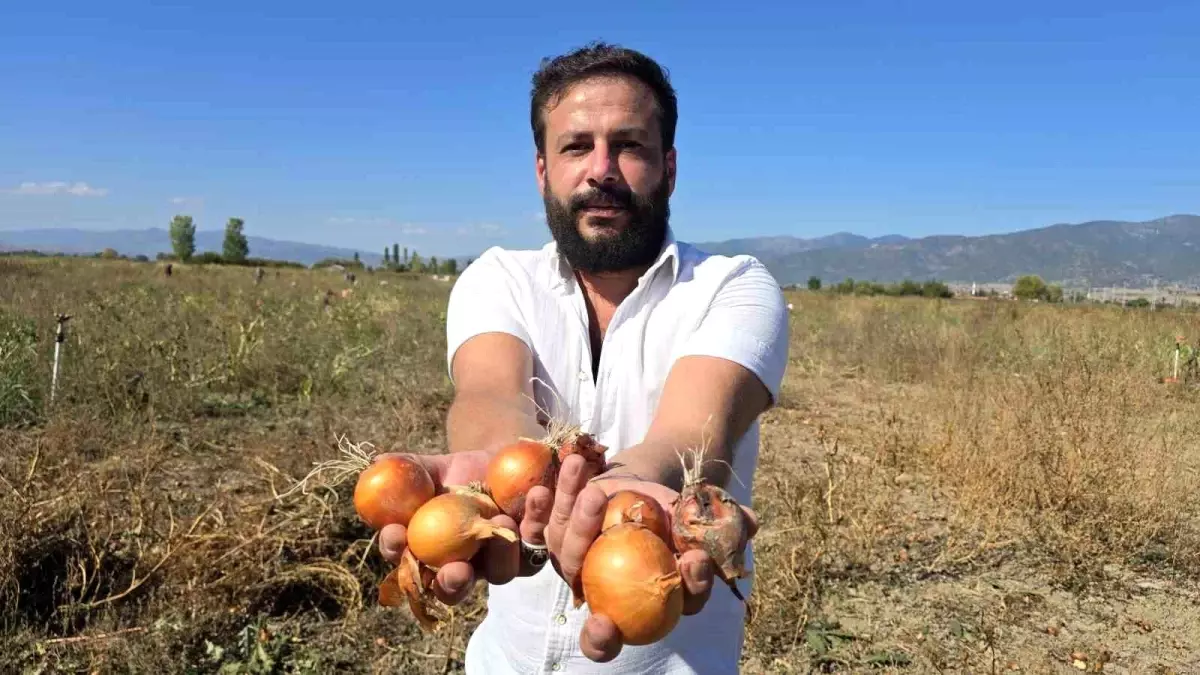 Çiftçiden Bedava Soğan Dağıtımı